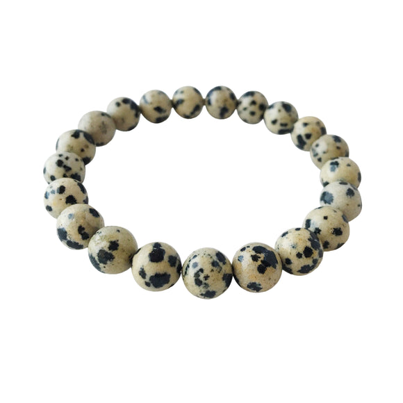 6mm Dalmatian Jasper Bracelet
