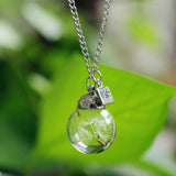 New Style Wish Glass Real Dandelion Necklaces